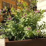 Ambassador, Completely Renovated Hotel