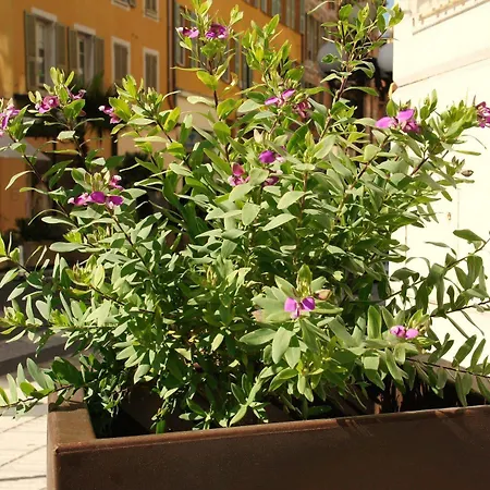 Ambassador, Completely Renovated Отель